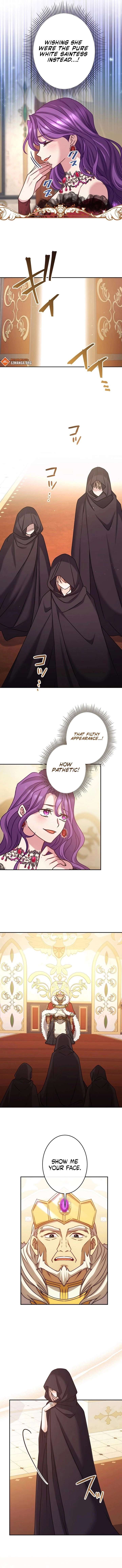 You Don’t Mind If I Destroy This Kingdom, Right? The Pure White Saintess Vows Revenge Chapter 13 - Page 3