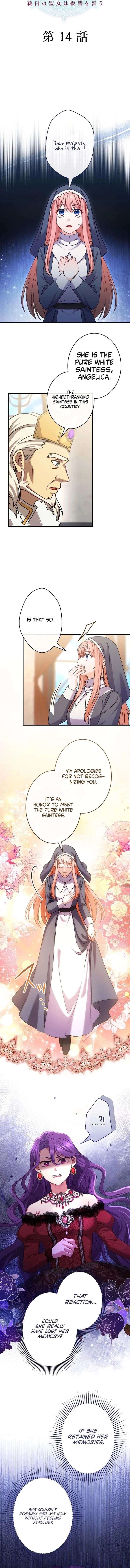 You Don’t Mind If I Destroy This Kingdom, Right? The Pure White Saintess Vows Revenge Chapter 14 - Page 2