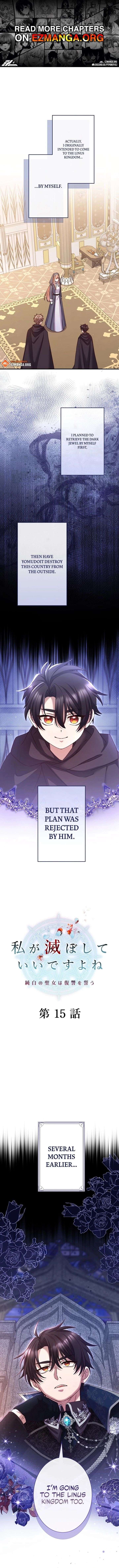 You Don’t Mind If I Destroy This Kingdom, Right? The Pure White Saintess Vows Revenge Chapter 15 - Page 1