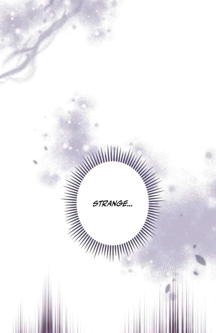 You Don’t Mind If I Destroy This Kingdom, Right? The Pure White Saintess Vows Revenge Chapter 4 - Page 17