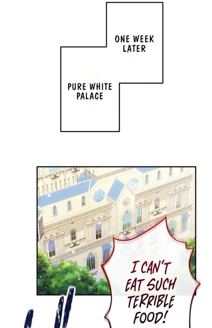 You Don’t Mind If I Destroy This Kingdom, Right? The Pure White Saintess Vows Revenge Chapter 8 - Page 10