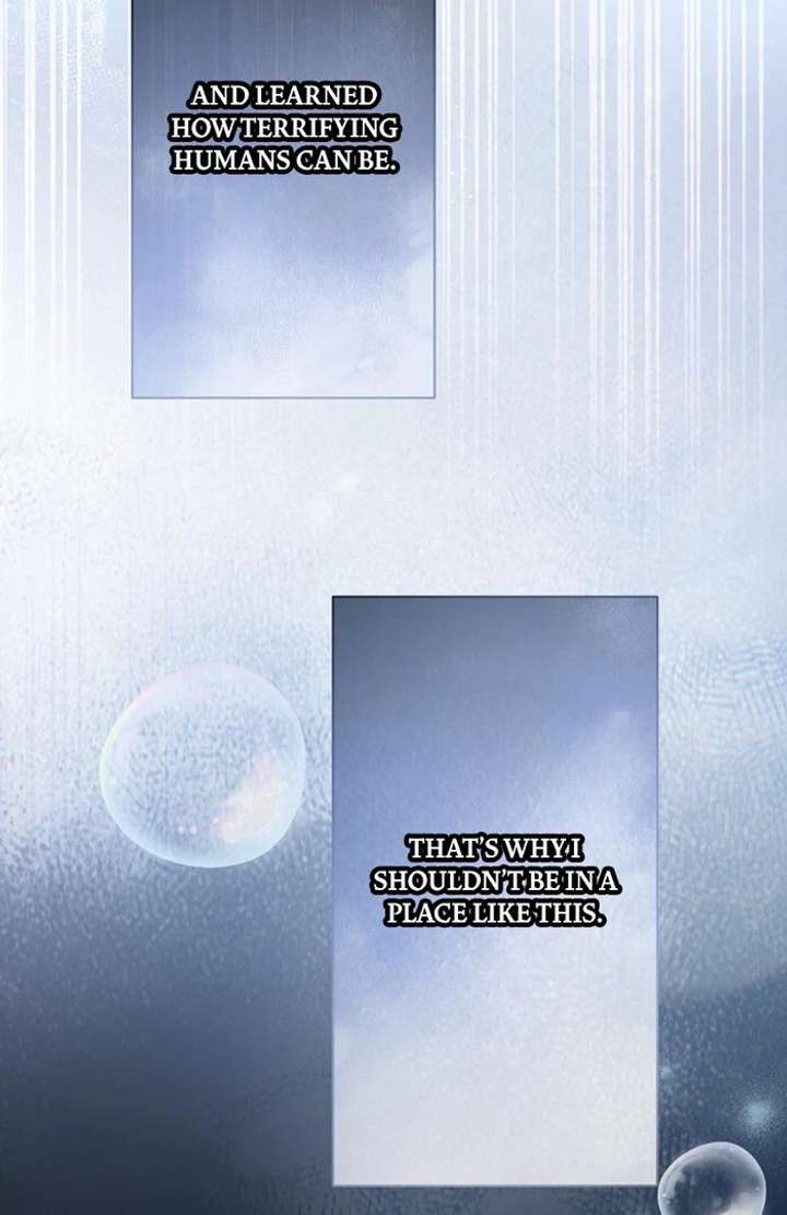 The Coldhearted Duke Is Obsessed With the Seal Princess Chapter 1 - Page 116