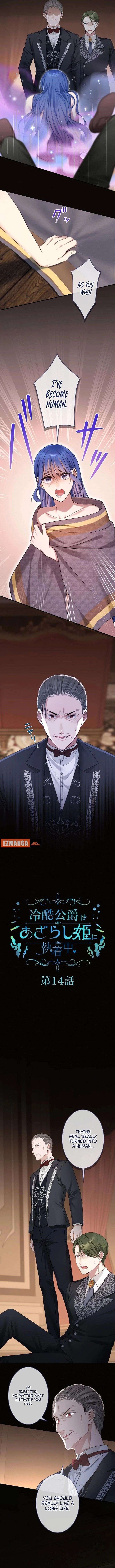 The Coldhearted Duke Is Obsessed With the Seal Princess Chapter 14 - Page 2