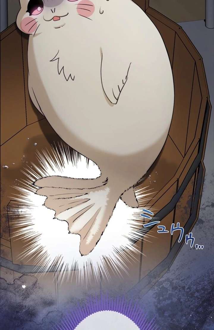 The Coldhearted Duke Is Obsessed With the Seal Princess Chapter 5 - Page 4
