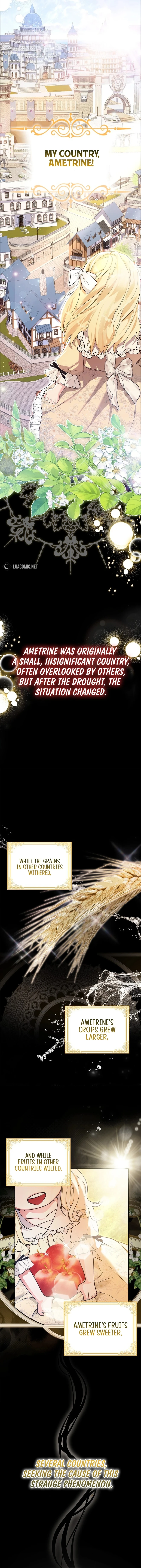 My Wish Is Two Separate Beds Chapter 1 - Page 4