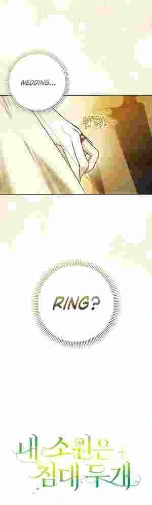 My Wish Is Two Separate Beds Chapter 20 - Page 33