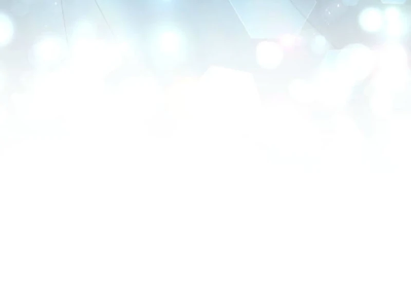 I Committed a One-Night Mistake with the Young Lady? Chapter 10 - Page 63