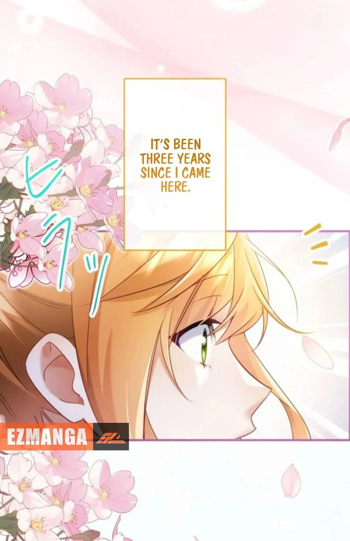 I Committed a One-Night Mistake with the Young Lady? Chapter 24 - Page 12