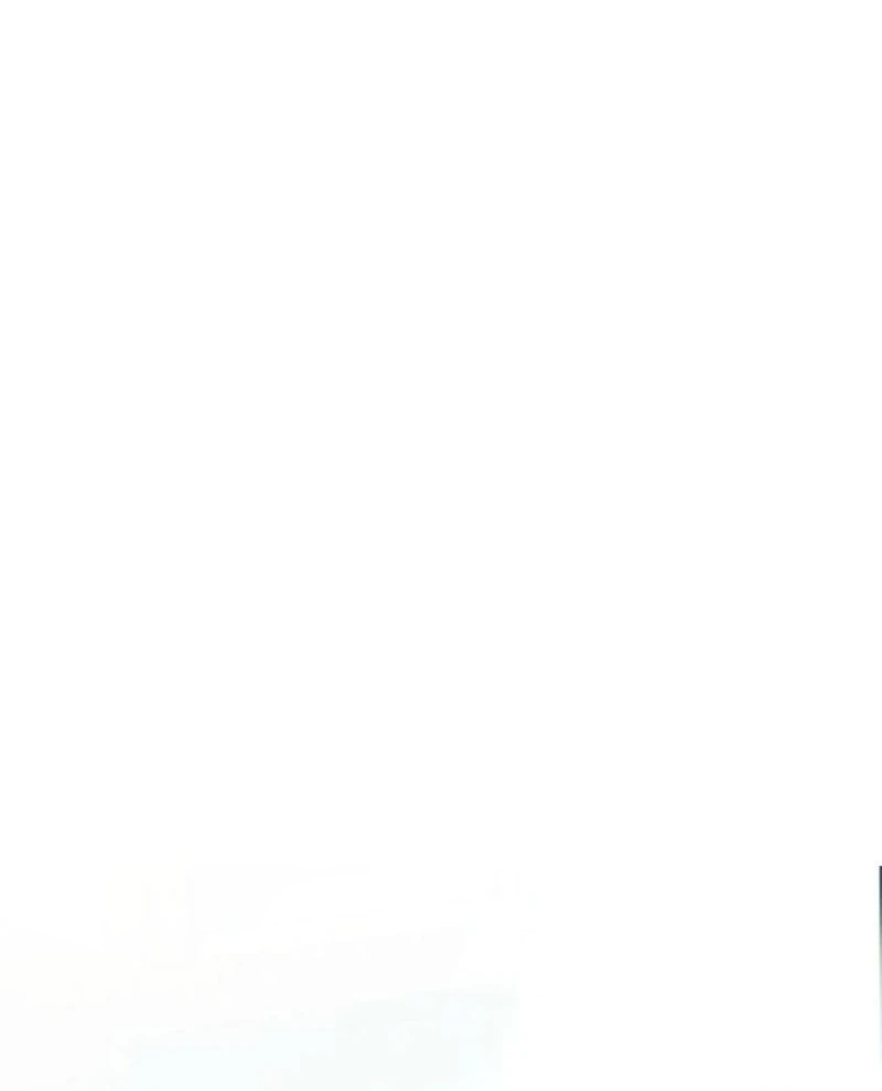 I Committed a One-Night Mistake with the Young Lady? Chapter 26 - Page 12