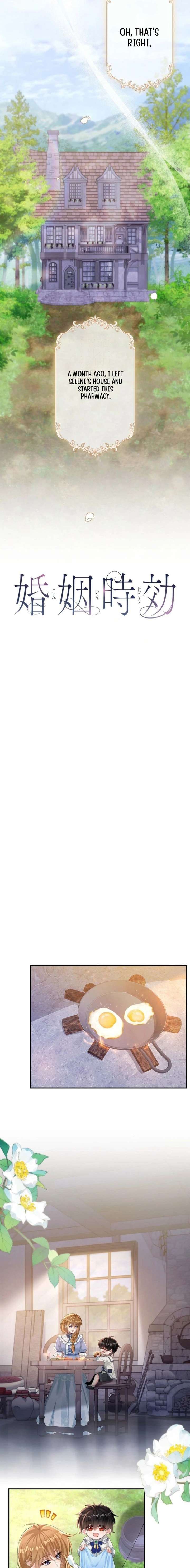 The Marriage Statute Has Expired – I Intended to Begin This Life With a Divorce, But the Prince Clings to Me Chapter 29 - Page 3