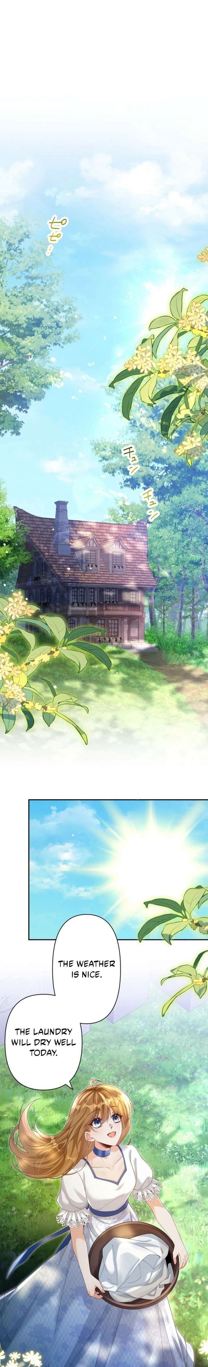 The Marriage Statute Has Expired – I Intended to Begin This Life With a Divorce, But the Prince Clings to Me Chapter 31 - Page 1