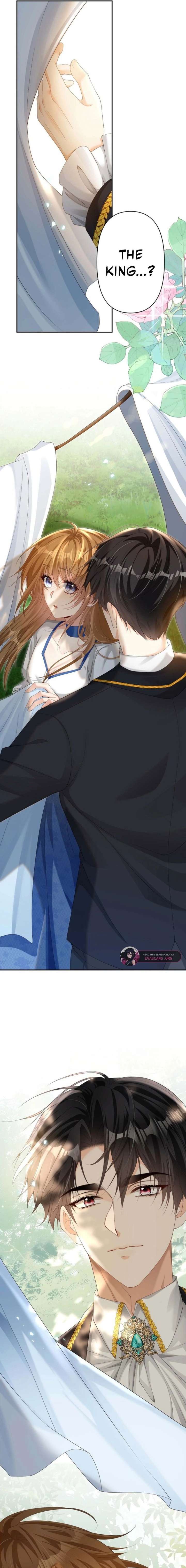 The Marriage Statute Has Expired – I Intended to Begin This Life With a Divorce, But the Prince Clings to Me Chapter 31 - Page 5