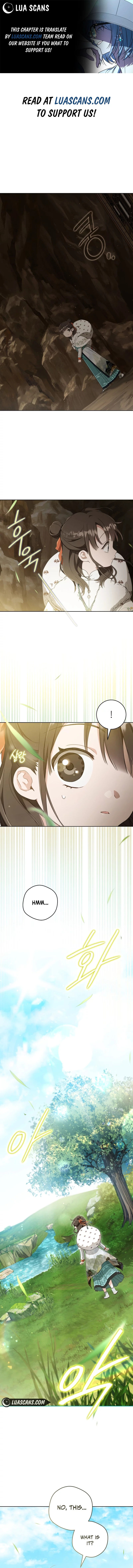 I became the Despised Granddaughter of the Powerful Martial Arts Family Chapter 56 - Page 1