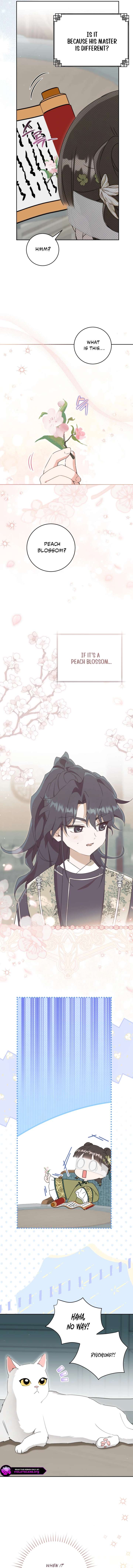 I became the Despised Granddaughter of the Powerful Martial Arts Family Chapter 96 - Page 5