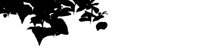 Holding You Captive Chapter 42 - Page 86