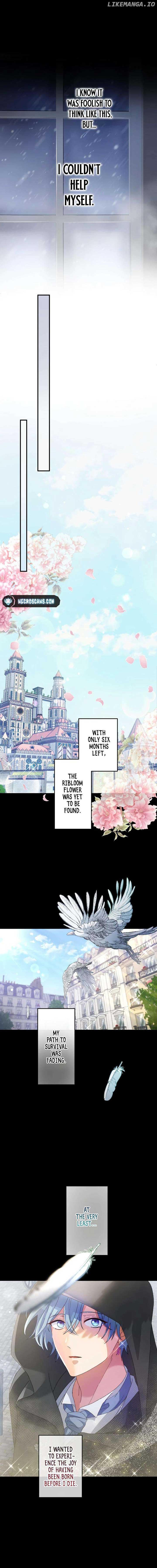 I Still Don’t Know About My Favourite Character’s Unwavering Obsession Chapter 10 - Page 12