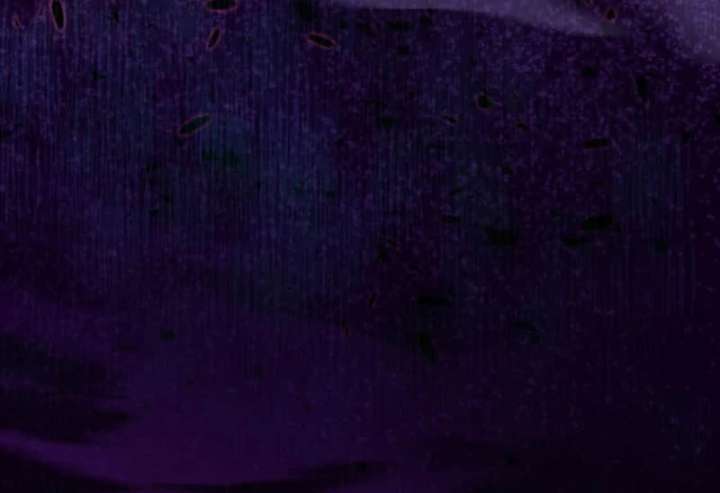 I Still Don’t Know About My Favourite Character’s Unwavering Obsession Chapter 48 - Page 86