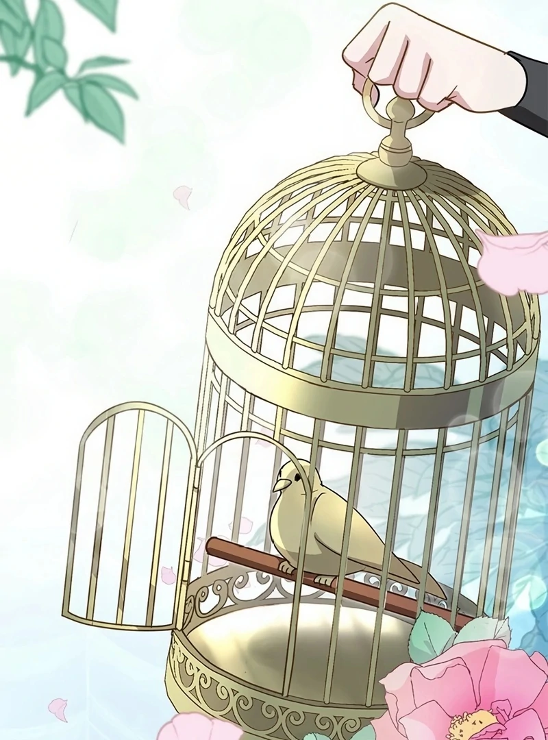 I will break ties with the harmful sister Chapter 1 - Page 36