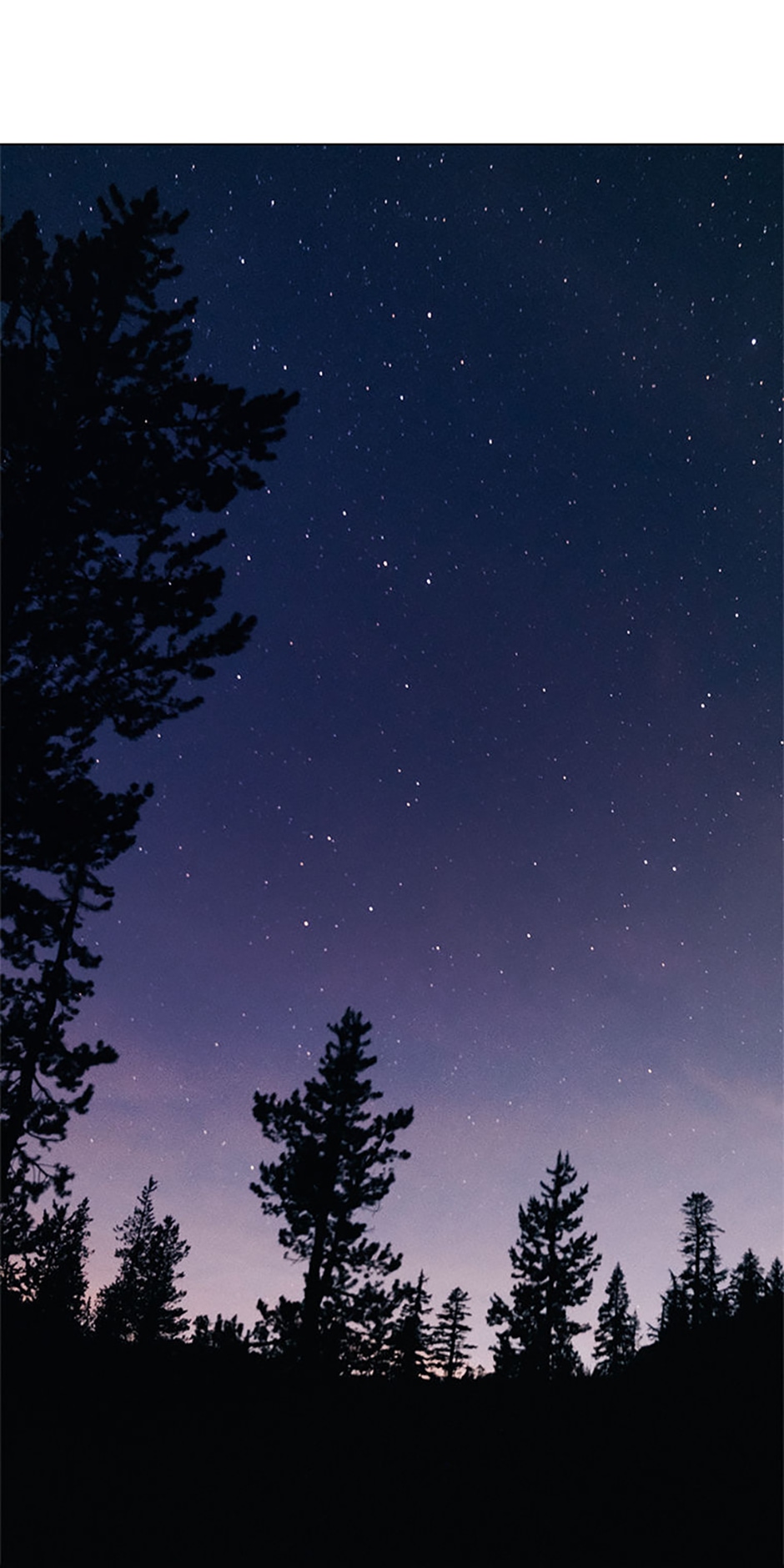 The Unwelcome Guests of House Fildette Chapter 74 - Page 34