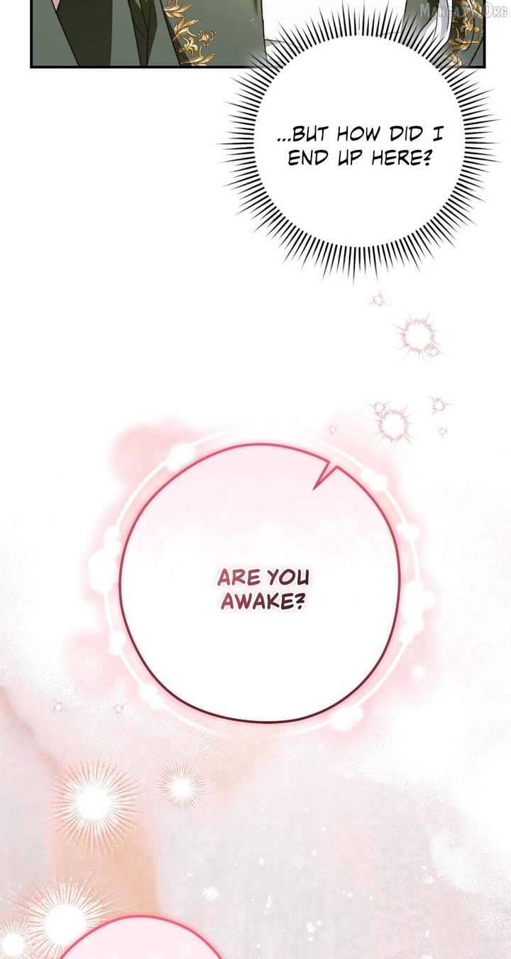 The Duchess Lives Only for This Day Chapter 13 - Page 5