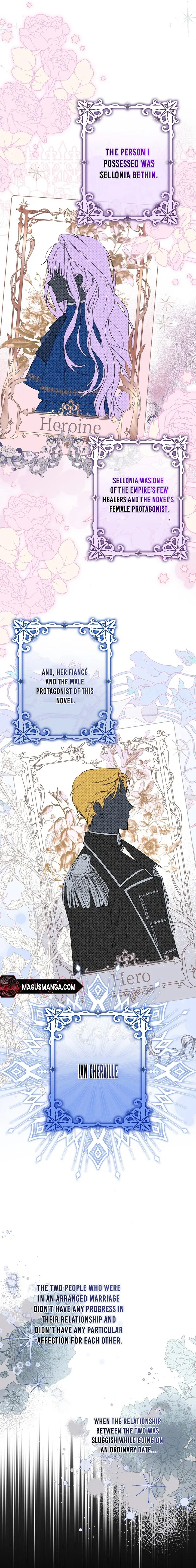 The Male Leads Were Stolen by the Extra Chapter 1 - Page 5