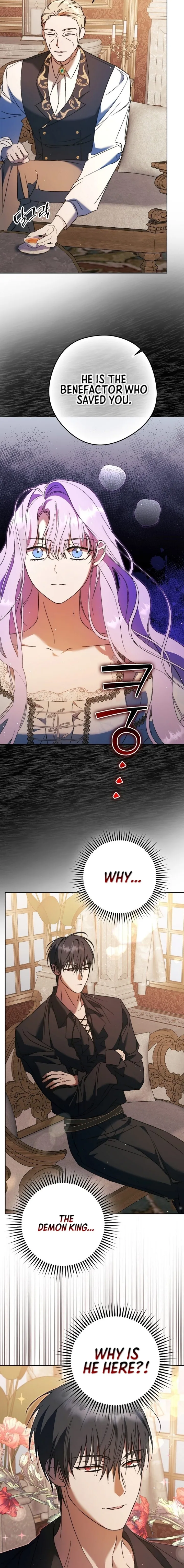 The Male Leads Were Stolen by the Extra Chapter 11 - Page 14