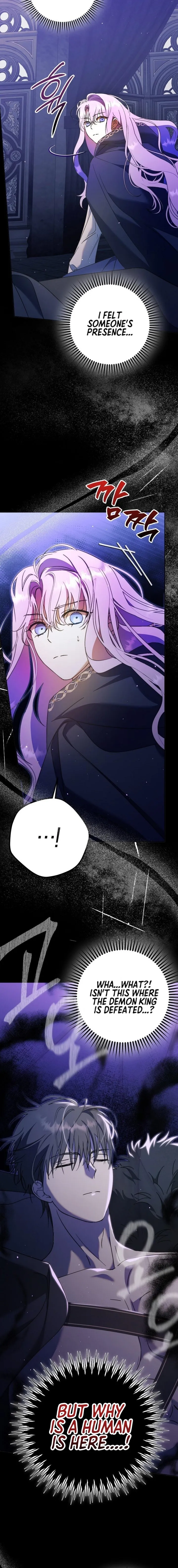 The Male Leads Were Stolen by the Extra Chapter 11 - Page 6