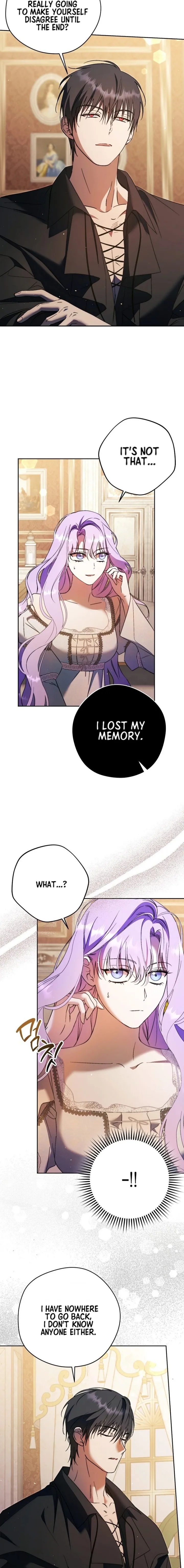 The Male Leads Were Stolen by the Extra Chapter 12 - Page 7