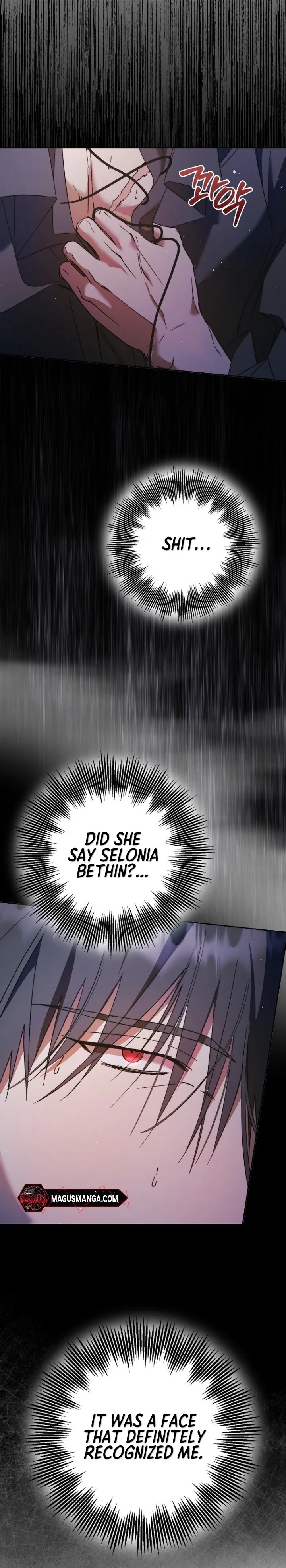 The Male Leads Were Stolen by the Extra Chapter 13 - Page 17