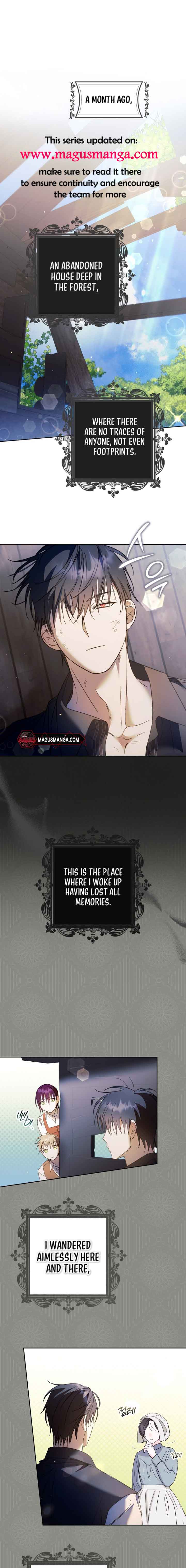 The Male Leads Were Stolen by the Extra Chapter 17 - Page 1