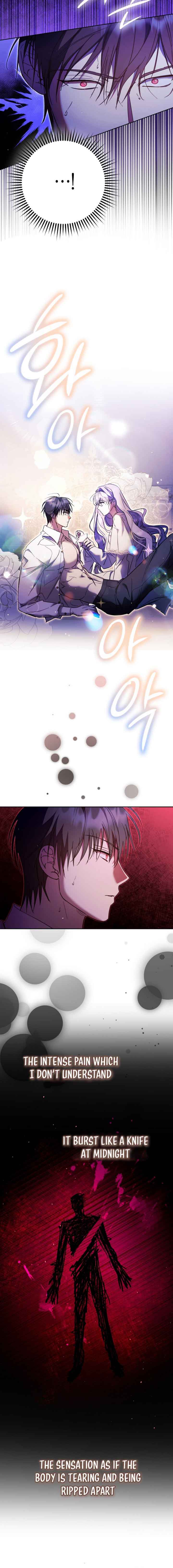 The Male Leads Were Stolen by the Extra Chapter 17 - Page 12