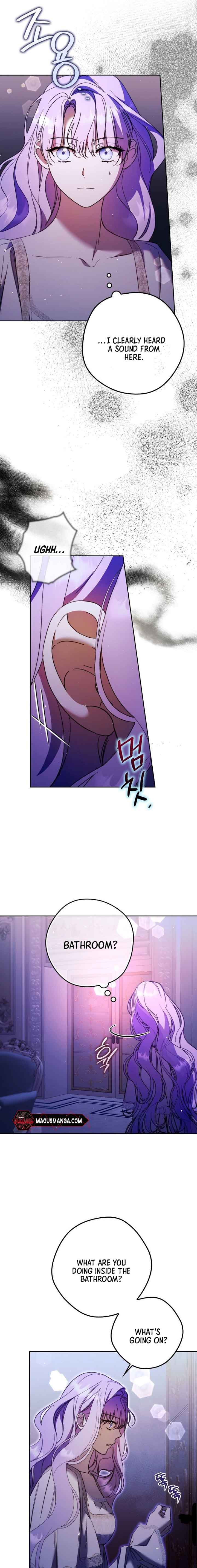 The Male Leads Were Stolen by the Extra Chapter 17 - Page 5