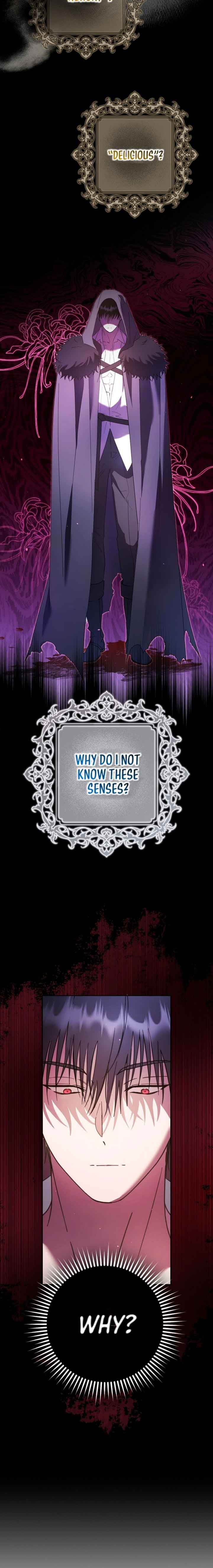 The Male Leads Were Stolen by the Extra Chapter 19 - Page 10