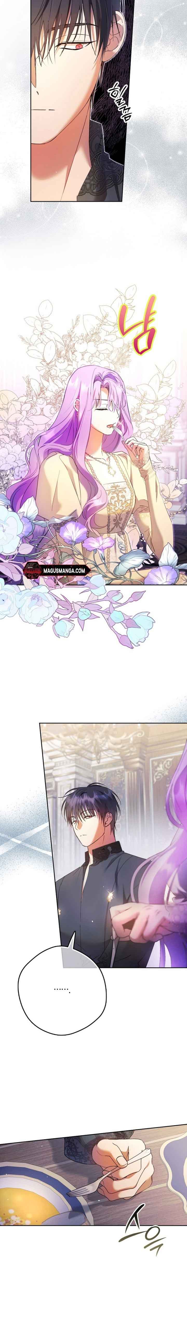 The Male Leads Were Stolen by the Extra Chapter 19 - Page 13