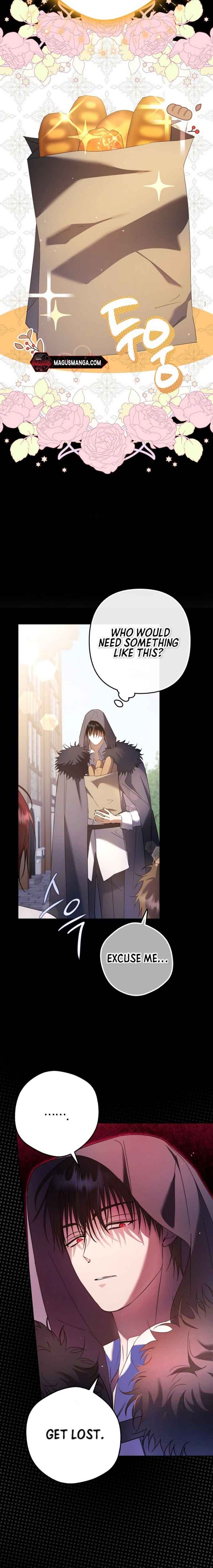 The Male Leads Were Stolen by the Extra Chapter 19 - Page 8