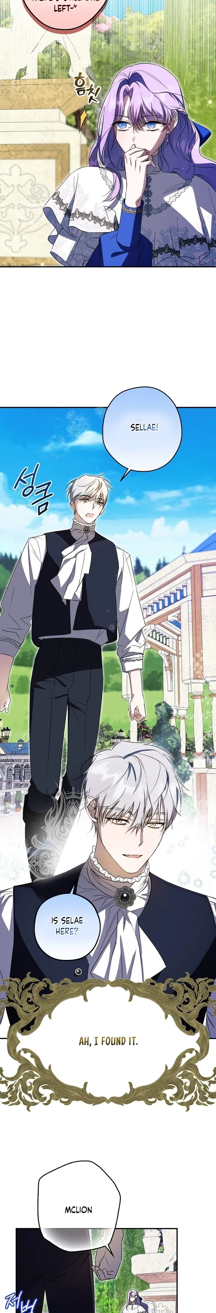 The Male Leads Were Stolen by the Extra Chapter 2 - Page 19