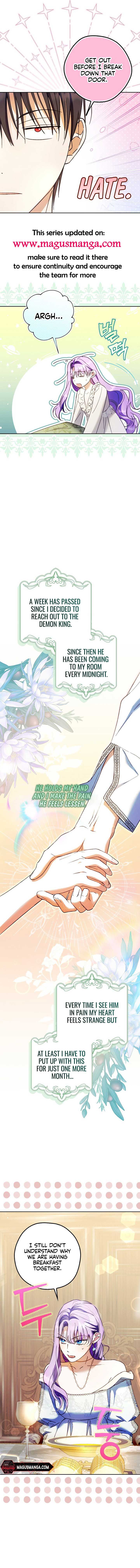 The Male Leads Were Stolen by the Extra Chapter 21 - Page 2