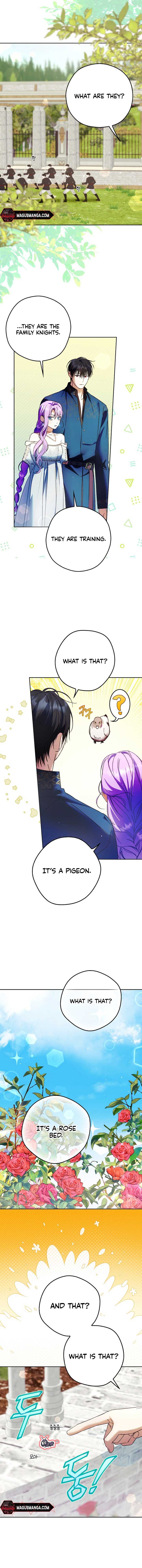 The Male Leads Were Stolen by the Extra Chapter 21 - Page 5