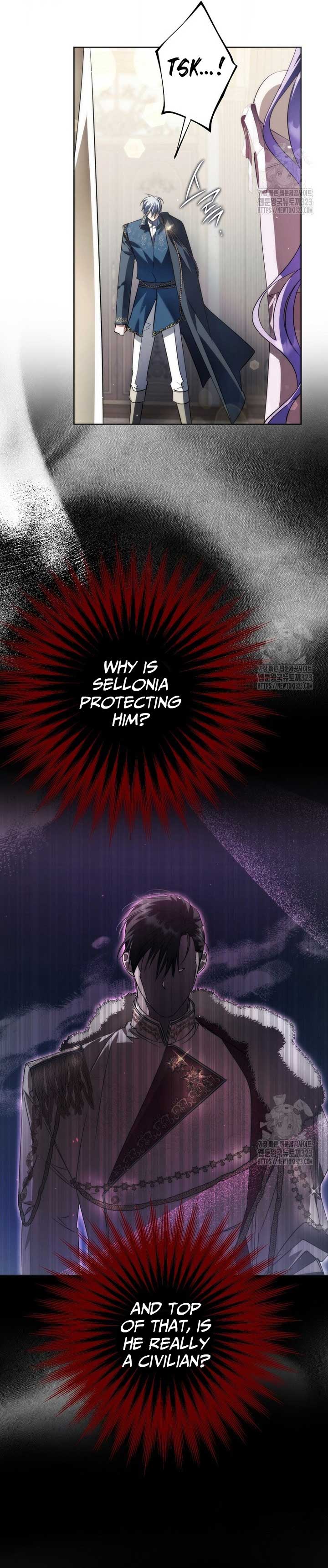 The Male Leads Were Stolen by the Extra Chapter 27 - Page 10