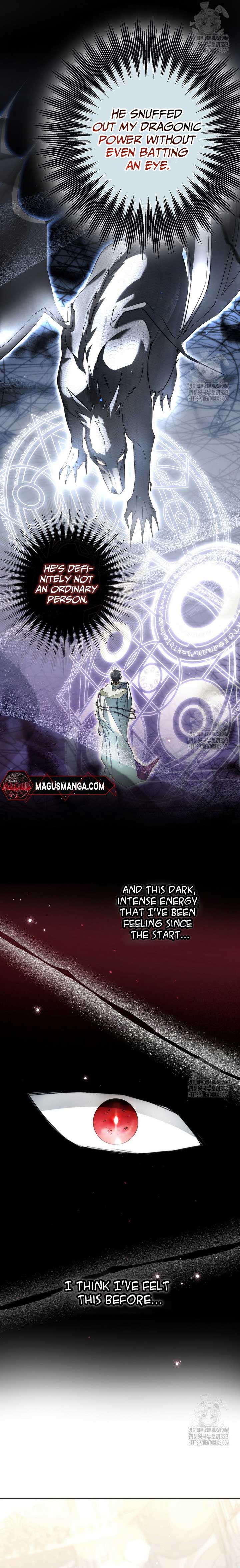 The Male Leads Were Stolen by the Extra Chapter 27 - Page 11