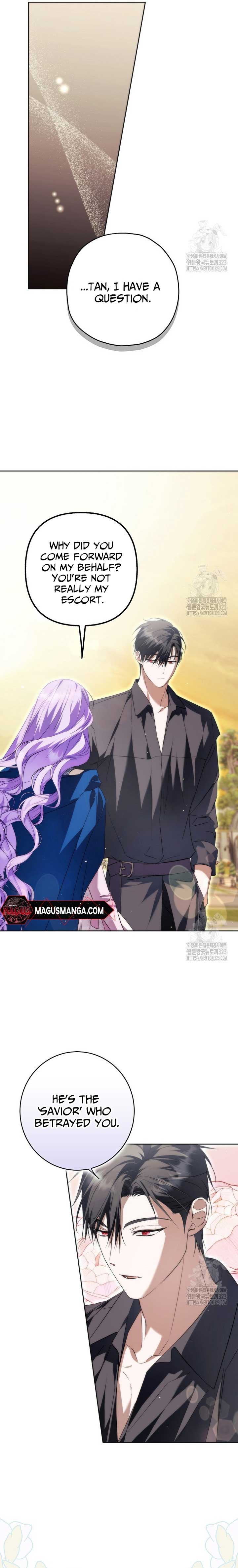 The Male Leads Were Stolen by the Extra Chapter 27 - Page 19