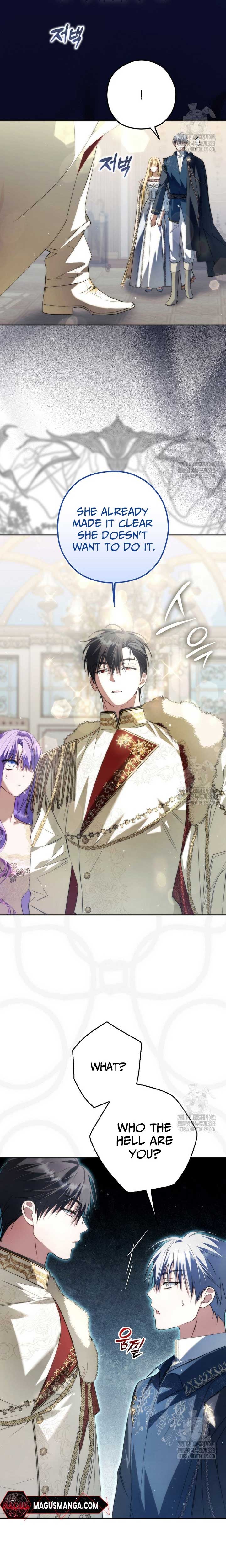 The Male Leads Were Stolen by the Extra Chapter 27 - Page 3