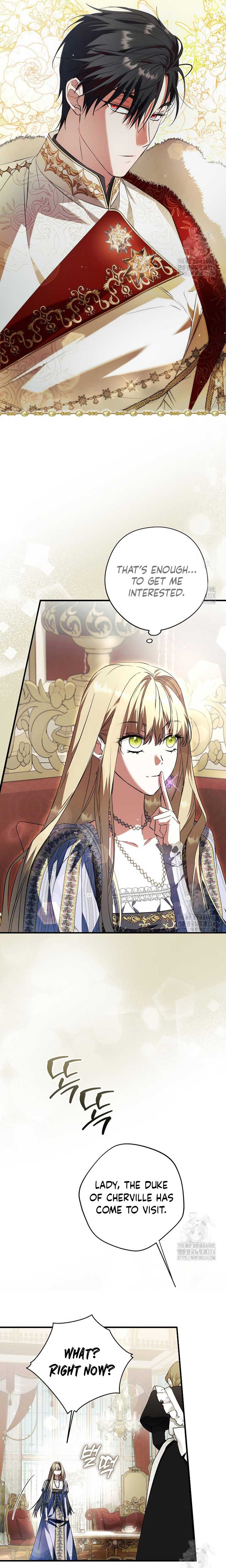 The Male Leads Were Stolen by the Extra Chapter 28 - Page 9