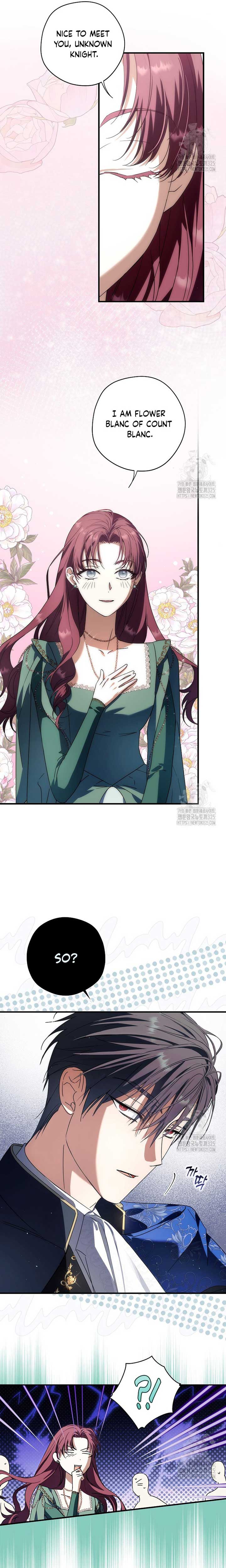 The Male Leads Were Stolen by the Extra Chapter 29 - Page 17