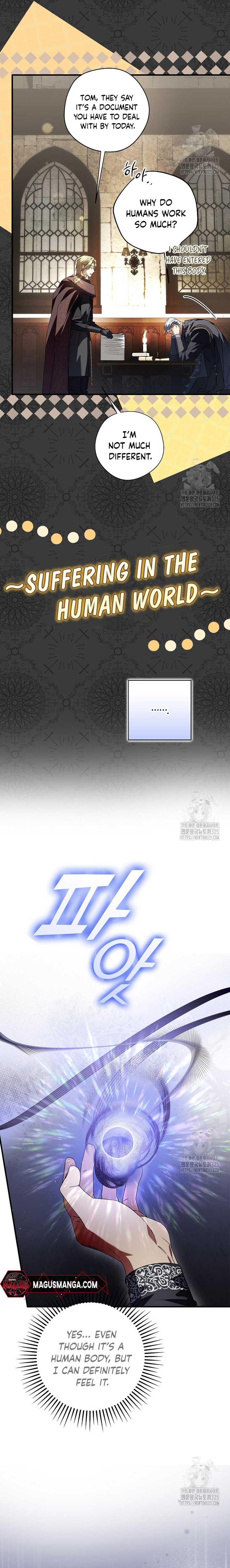 The Male Leads Were Stolen by the Extra Chapter 29 - Page 8