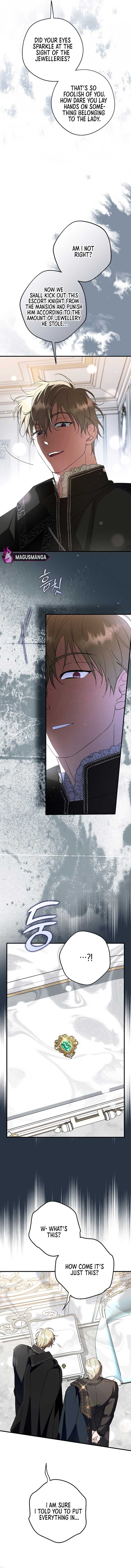 The Male Leads Were Stolen by the Extra Chapter 35 - Page 11