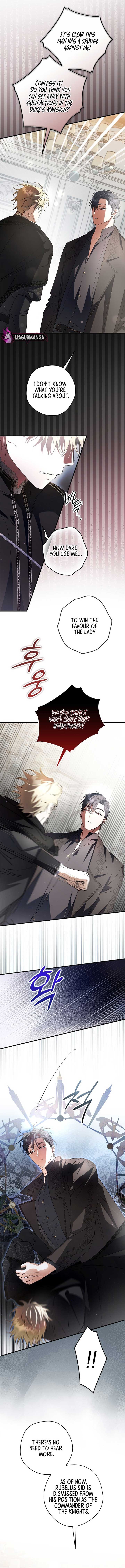 The Male Leads Were Stolen by the Extra Chapter 35 - Page 14