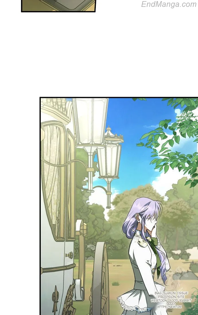 The Male Leads Were Stolen by the Extra Chapter 41 - Page 2