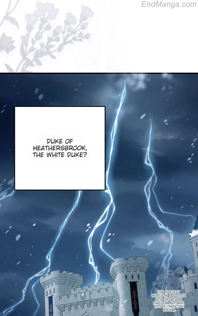 The Male Leads Were Stolen by the Extra Chapter 41 - Page 36