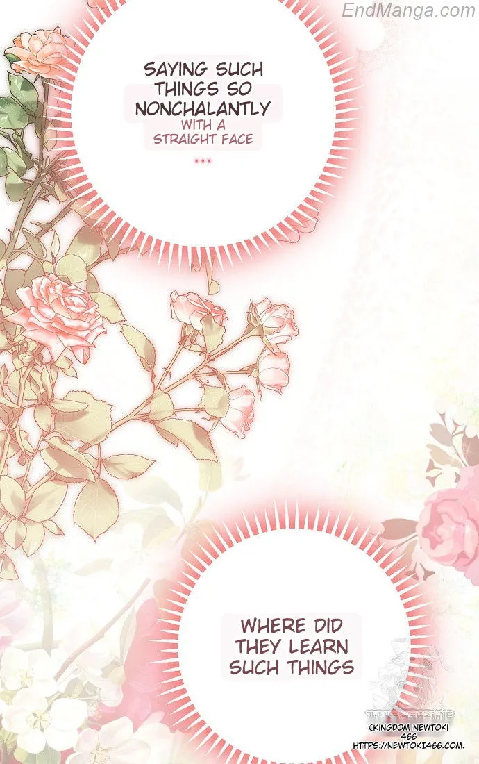 The Male Leads Were Stolen by the Extra Chapter 41 - Page 4